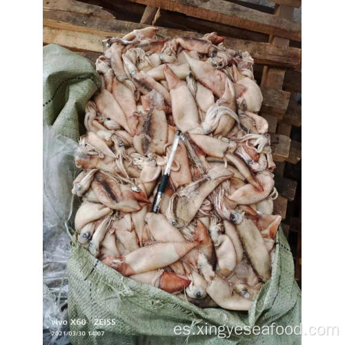 Top productor congelado Squid Todarodes Pacificus 80-120G